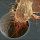 Illustration for article titled Where Is My Cure for Cancer?